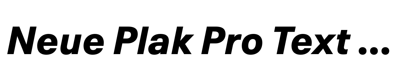 Neue Plak Pro Text Black Italic